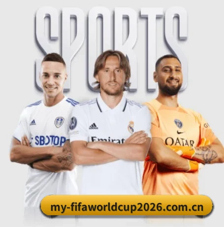 美加墨世界杯 APP